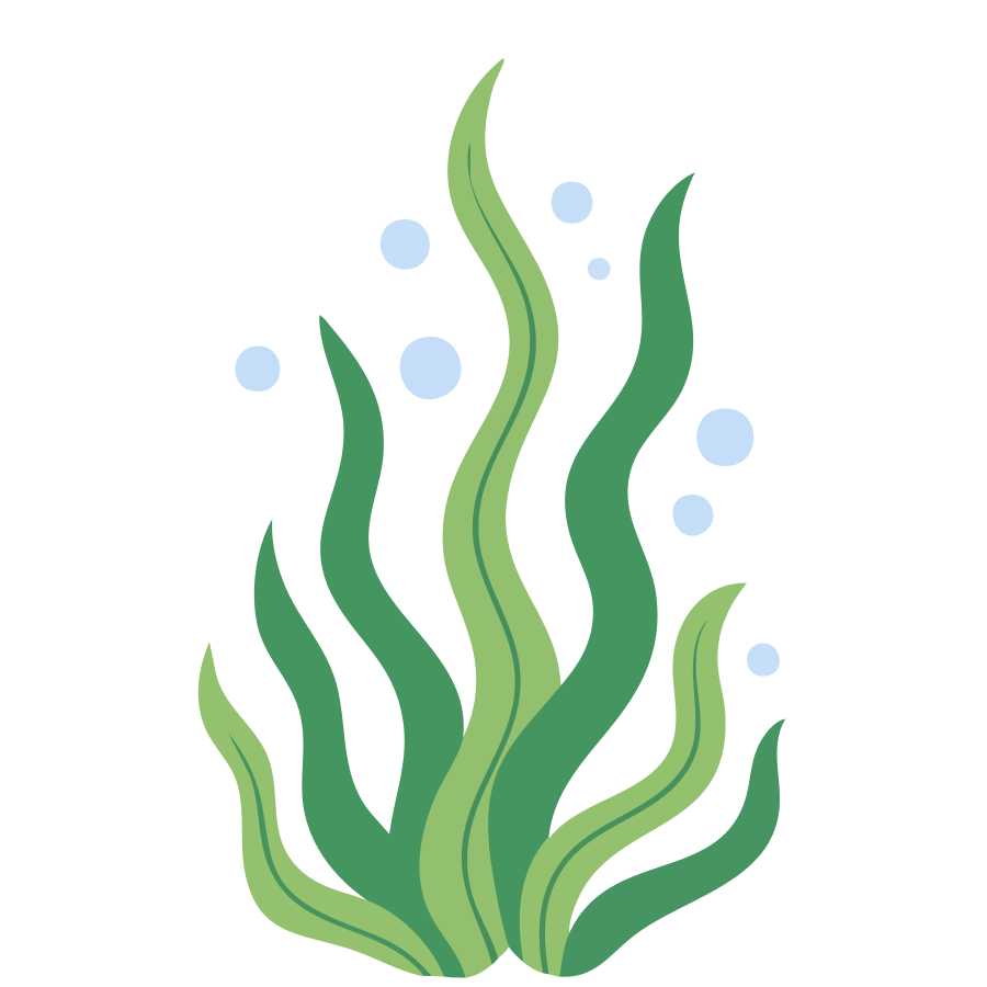 A stylized illustration of green seaweed with light blue bubbles on a white background.