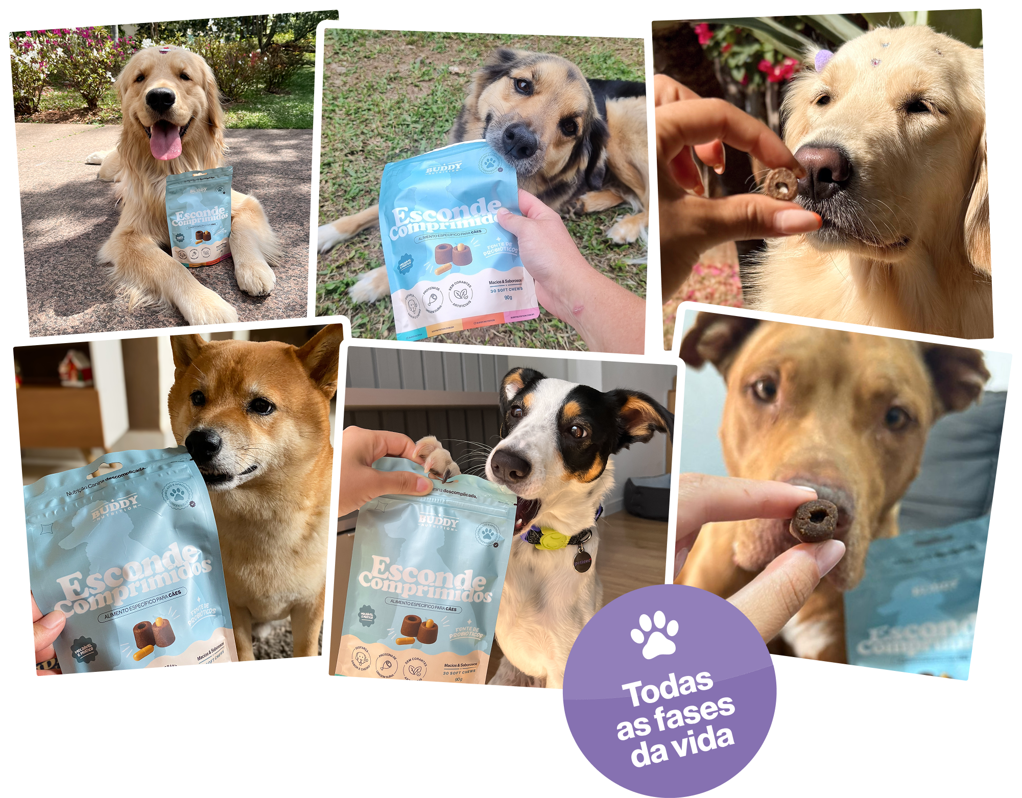 A photo collage of different dogs with cans of pet supplements and treats.