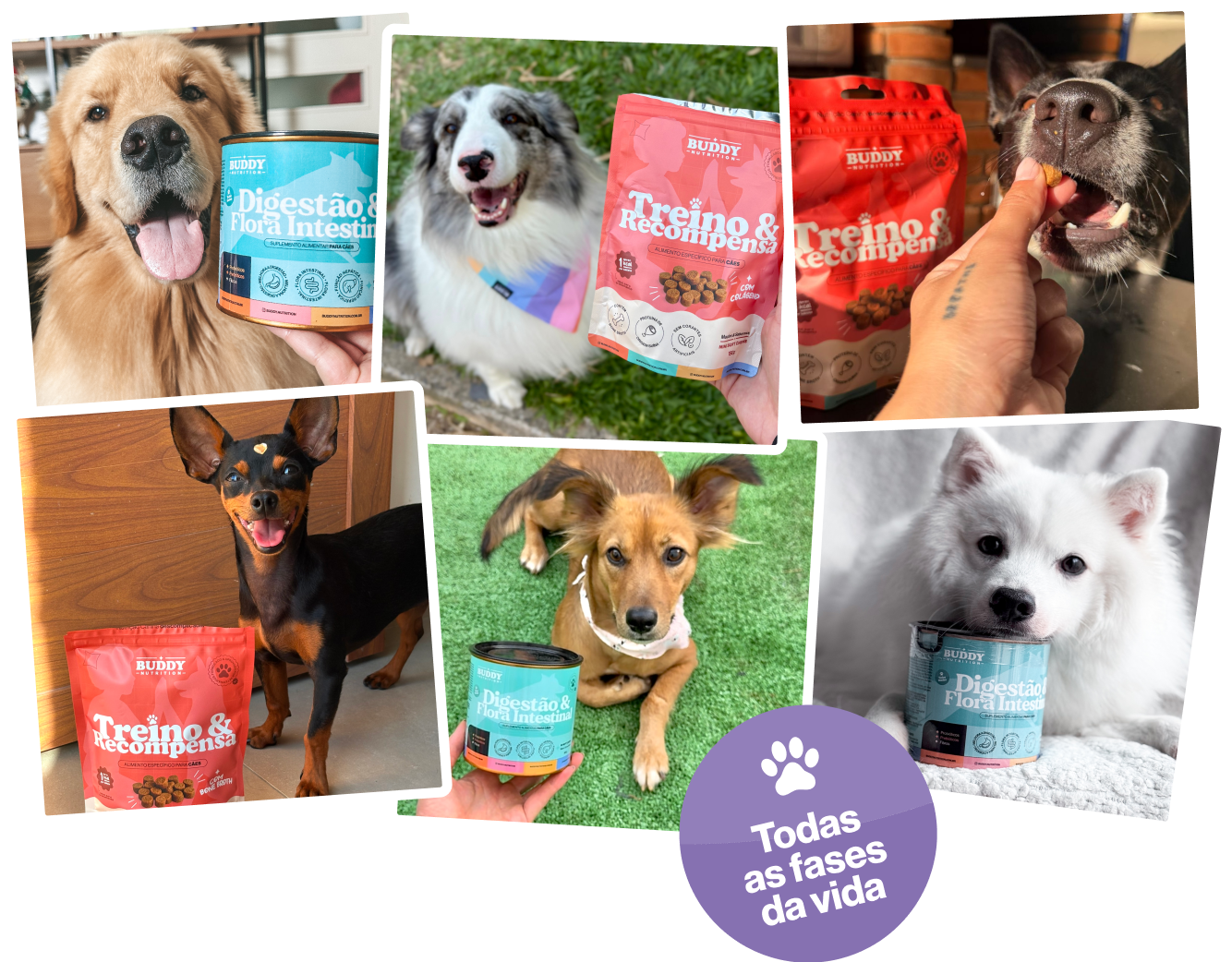 A photo collage of several different dogs posing with Buddy Nutrition brand pet food and treats.