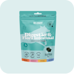 A teal pouch of Buddy brand dog treats for 'Digestion & Intestinal Flora' against a light blue background.