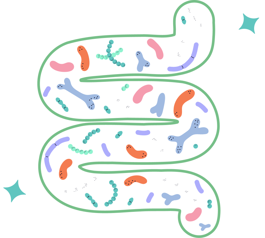 A stylized illustration of a winding intestine filled with colorful microbes on a white background.