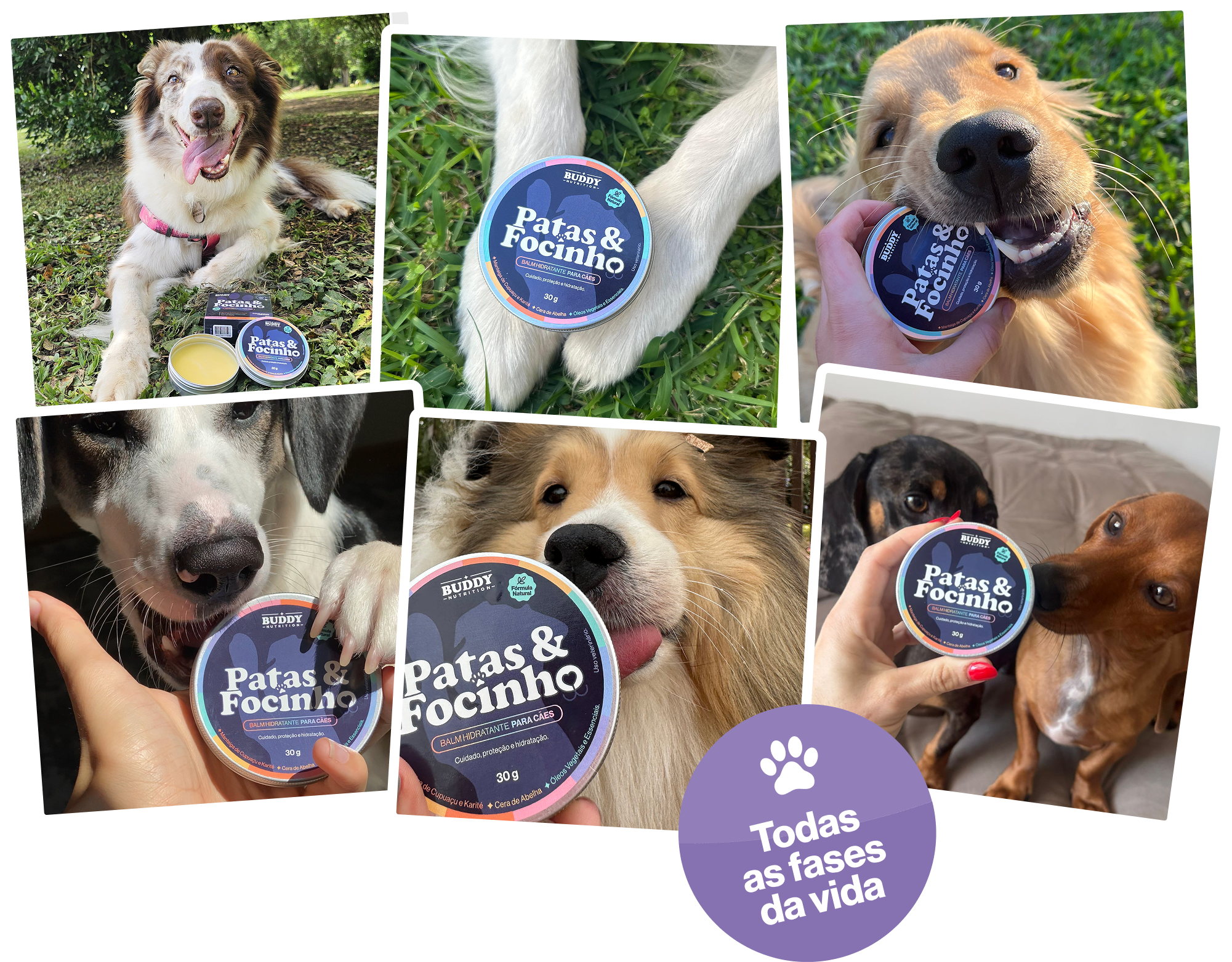 A photo collage of different dogs with cans of pet supplements and treats.