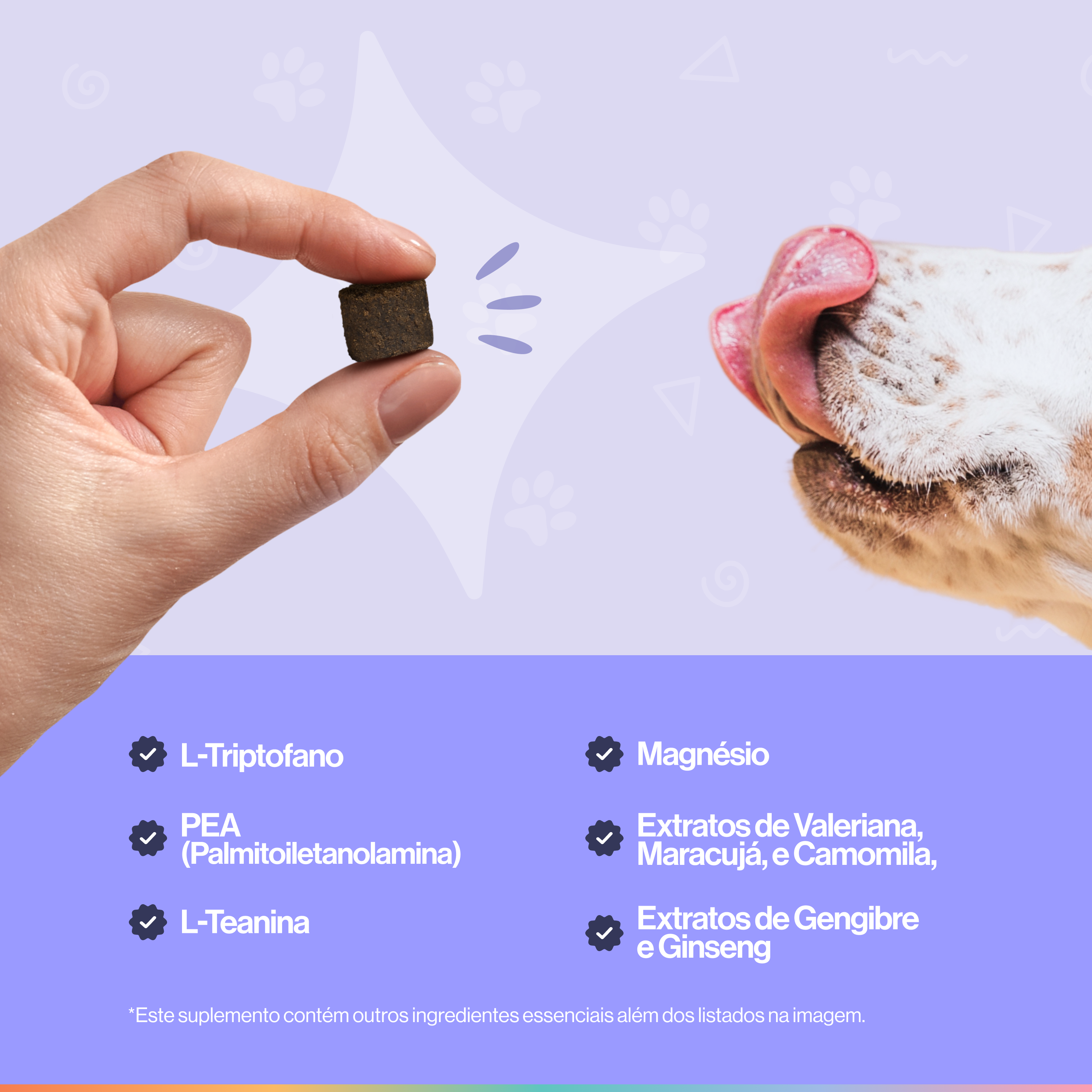 A hand holds a square treat next to a dog's snout, with a list of ingredients below.