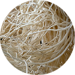A circular close-up image of a tangled mass of white plant roots.