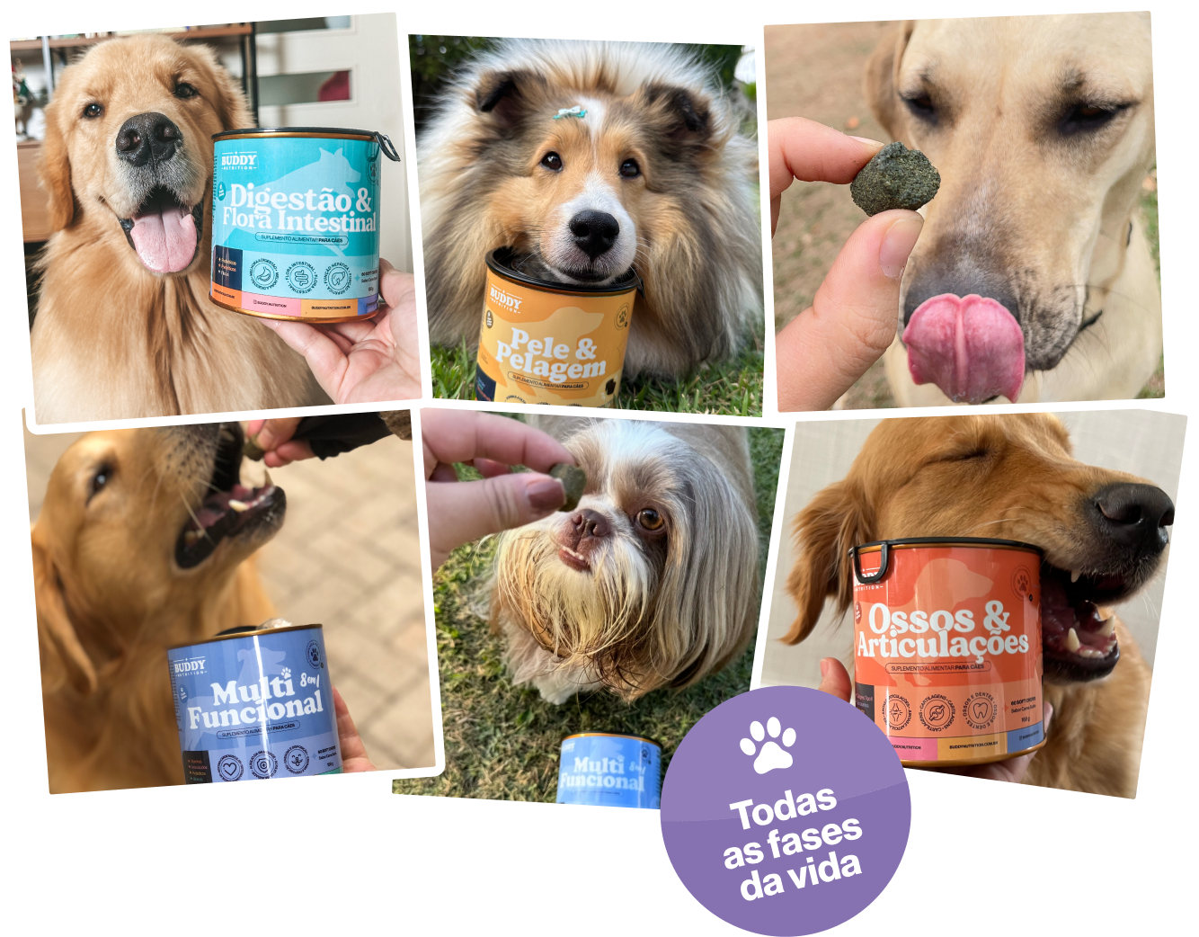 A photo collage of different dogs with cans of pet supplements and treats.