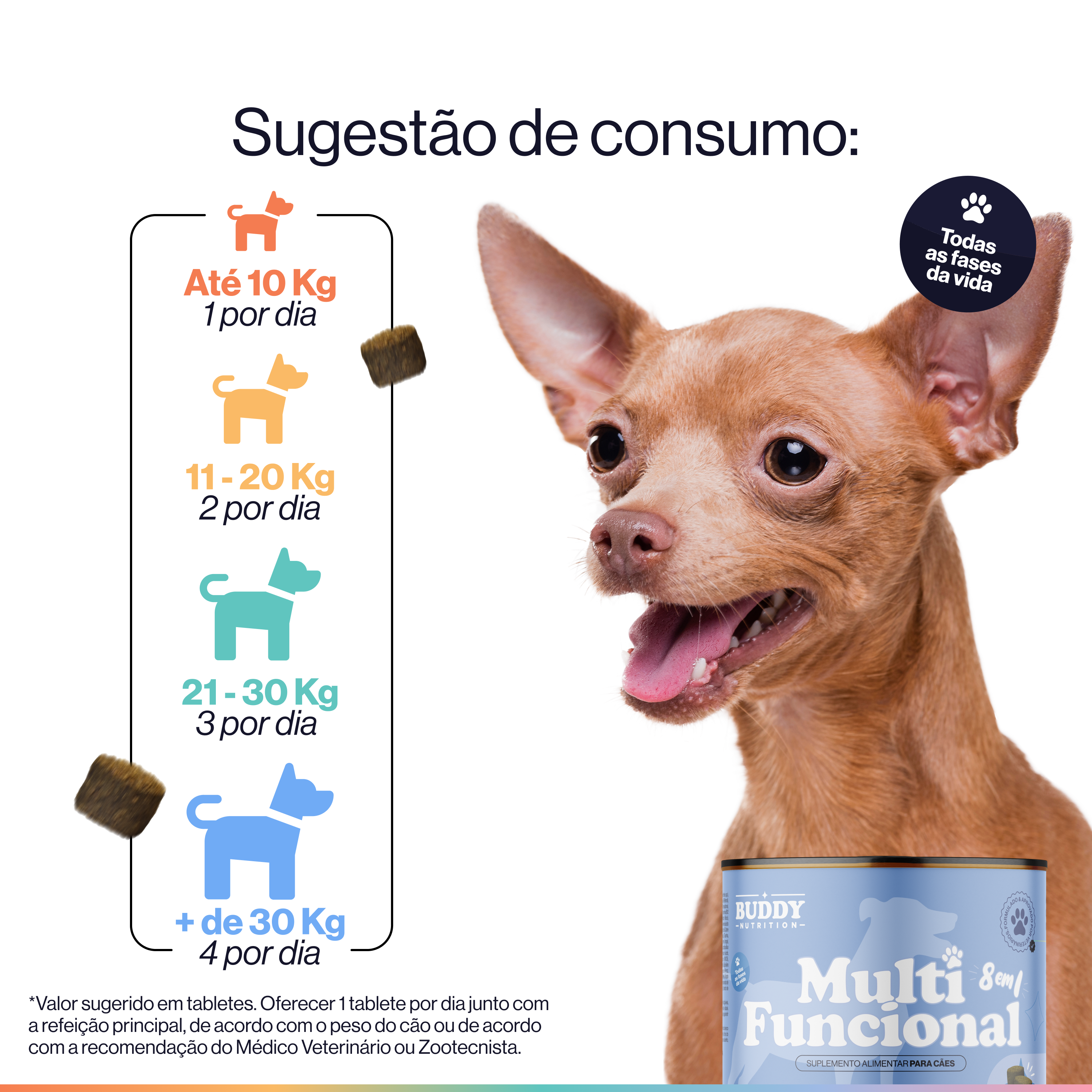 A small tan dog next to a can of supplements and a Portuguese feeding guide.