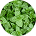 A low-resolution, circular close-up of green leaves or herbs.