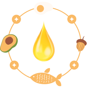 An illustration of an oil drop surrounded by icons of an egg, acorn, fish, and avocado.