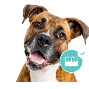 A cartoon cloud character meditating peacefully with a smile.