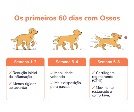 An infographic showing a dog's mobility improving over several weeks, from standing stiffly to running happily.