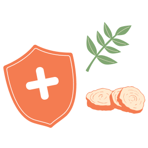 An orange shield with a white plus sign, a green leafy branch, and three orange root slices.