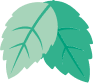 A simple illustration of two overlapping green leaves in different shades.