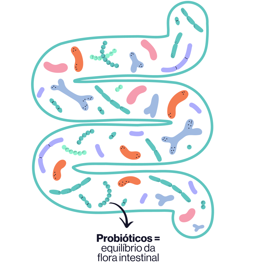 Illustration of an intestine with diverse, colorful microbes. Text explains probiotics balance intestinal flora.