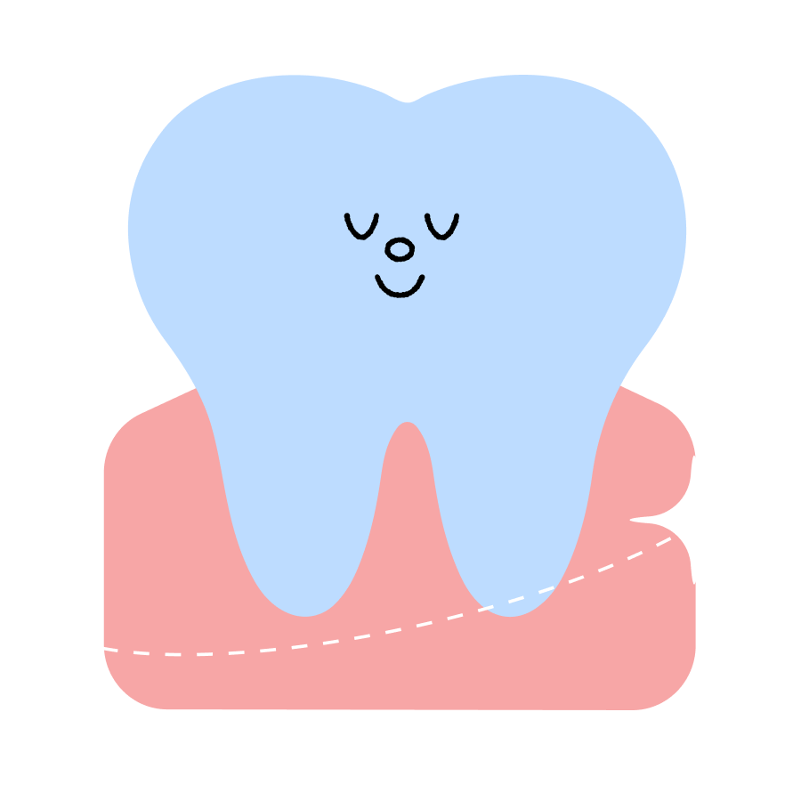 An illustration of a happy cartoon tooth with a relaxed face, sitting in pink gums.