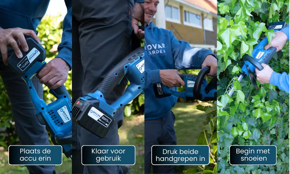 Four-step guide to using a blue cordless hedge trimmer.