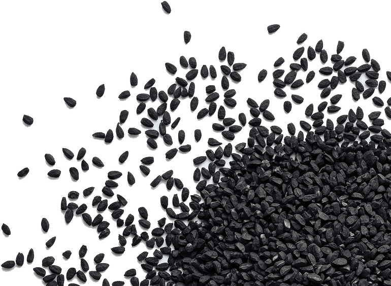 A pile of small, black seeds scattered from the bottom right corner across a white background.