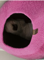A small animal inside a pink felt-covered cave bed.