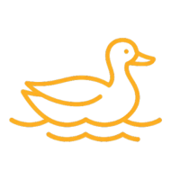 Outline of a duck swimming in water, drawn in orange.
