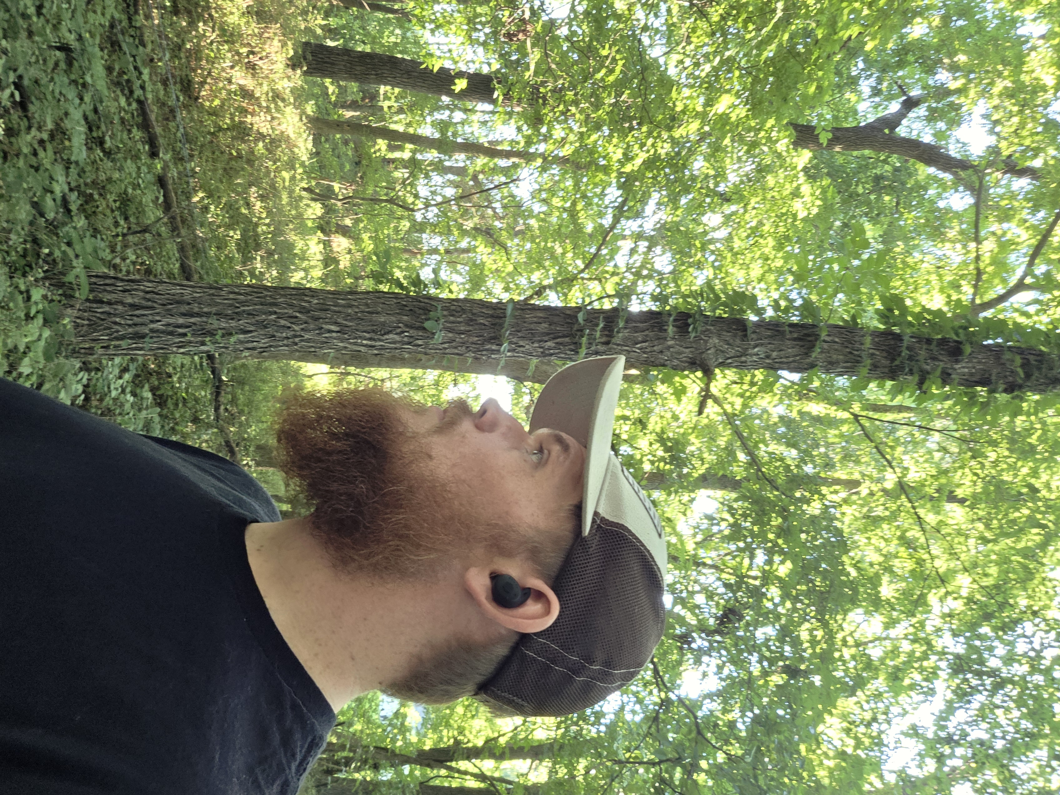 A bearded man in a baseball cap and an earbud stands in a sunlit forest.