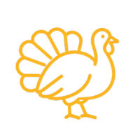 Outline of a turkey in yellow on a transparent background.