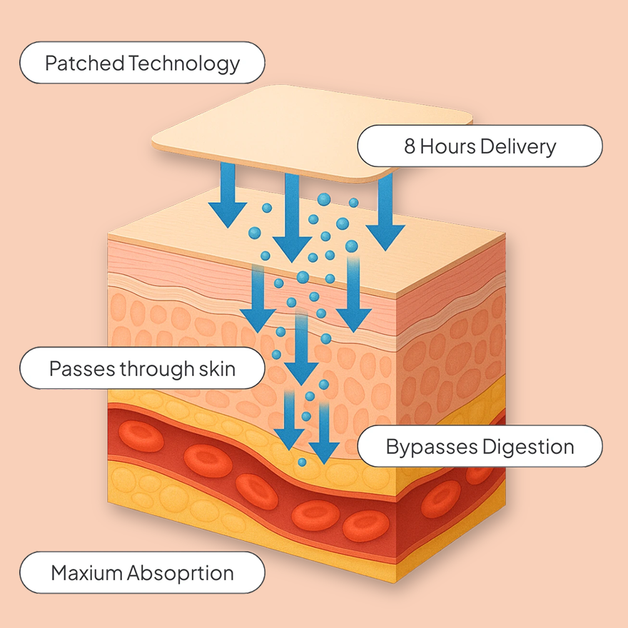 Diagram of transdermal absorption technology with labeled layers and arrows.