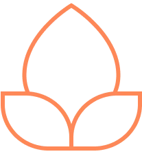 Orange lotus outline icon on a transparent background.