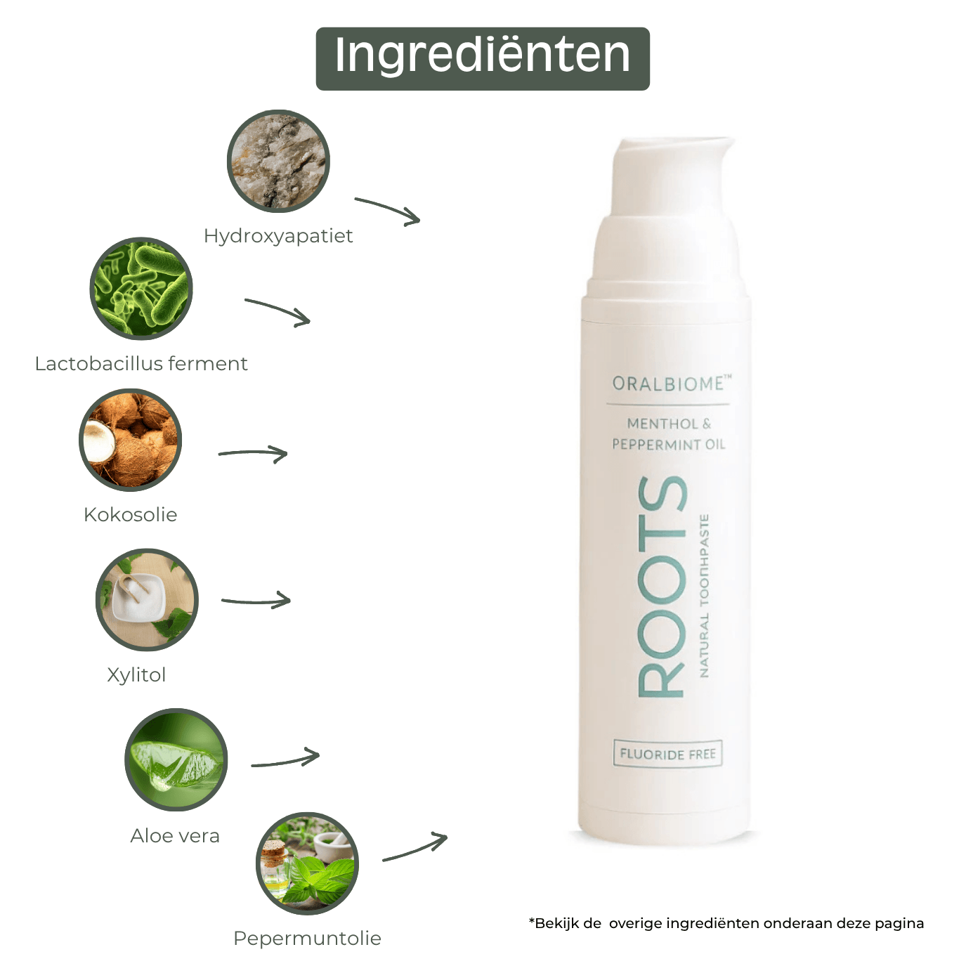 An infographic showing the natural ingredients of ROOTS toothpaste, presented in Dutch.