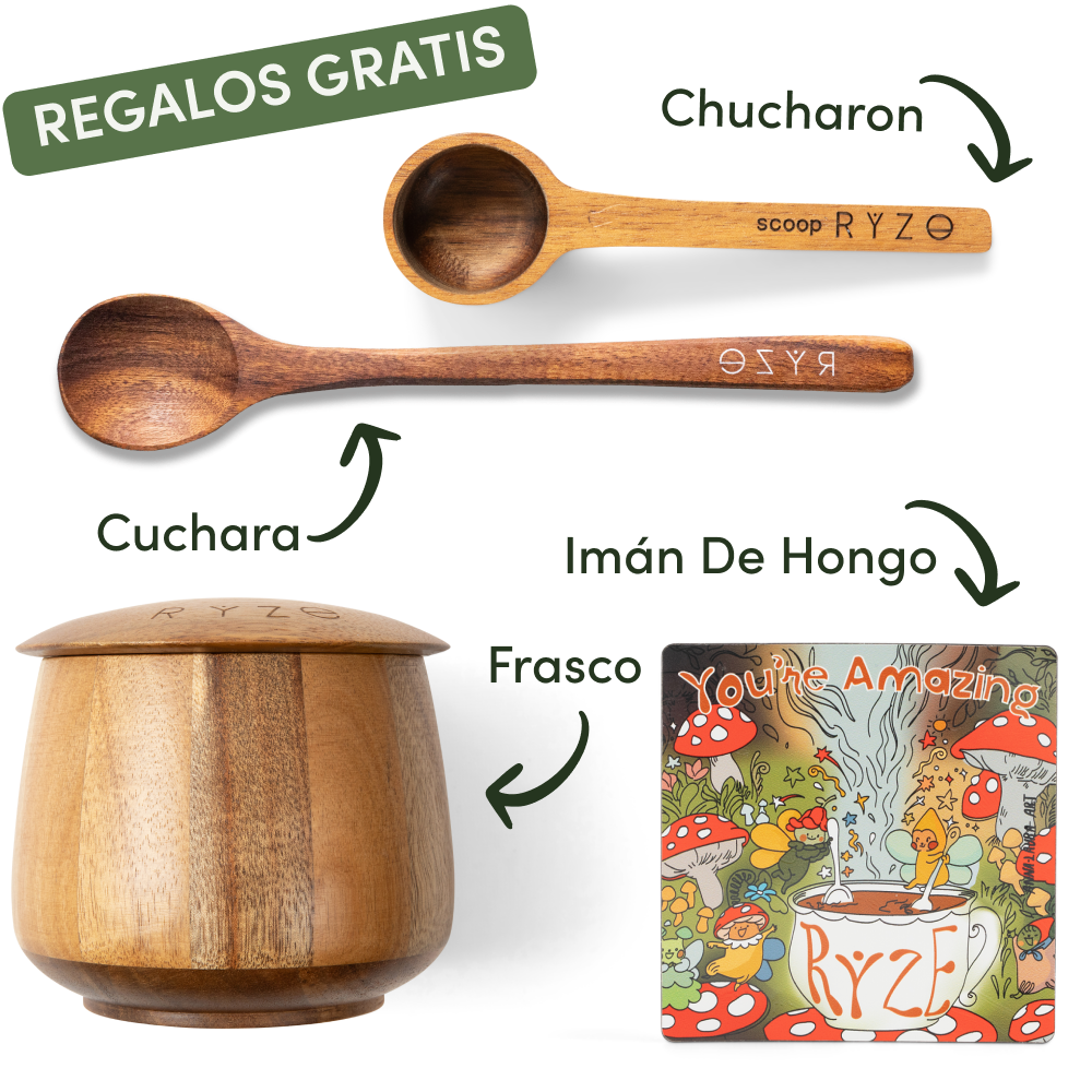 Wooden utensils, jar, and colorful mushroom-themed magnet with Spanish labels.