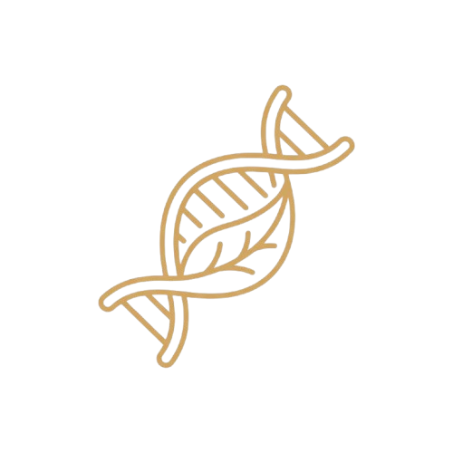 A gold line icon of a DNA double helix intertwined with a leaf on a black background.