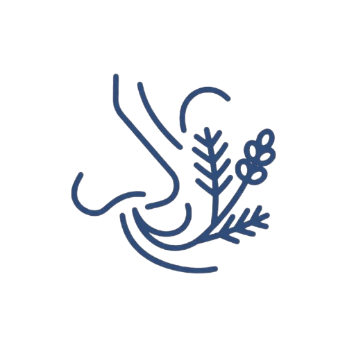 Line drawing of a nose with herbs.