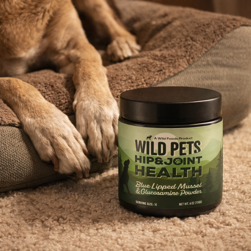 A jar of Wild Pets hip and joint supplement sits on a carpet next to a dog's paws.