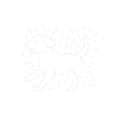 Outline of a smiling dog surrounded by stars and rays on a black background.