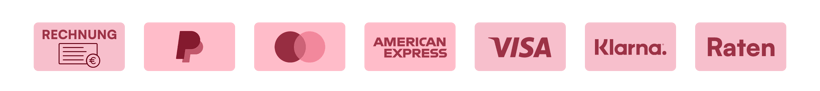 Rechnung, PayPal, Mastercard, American Express, Visa, Klarna, Raten