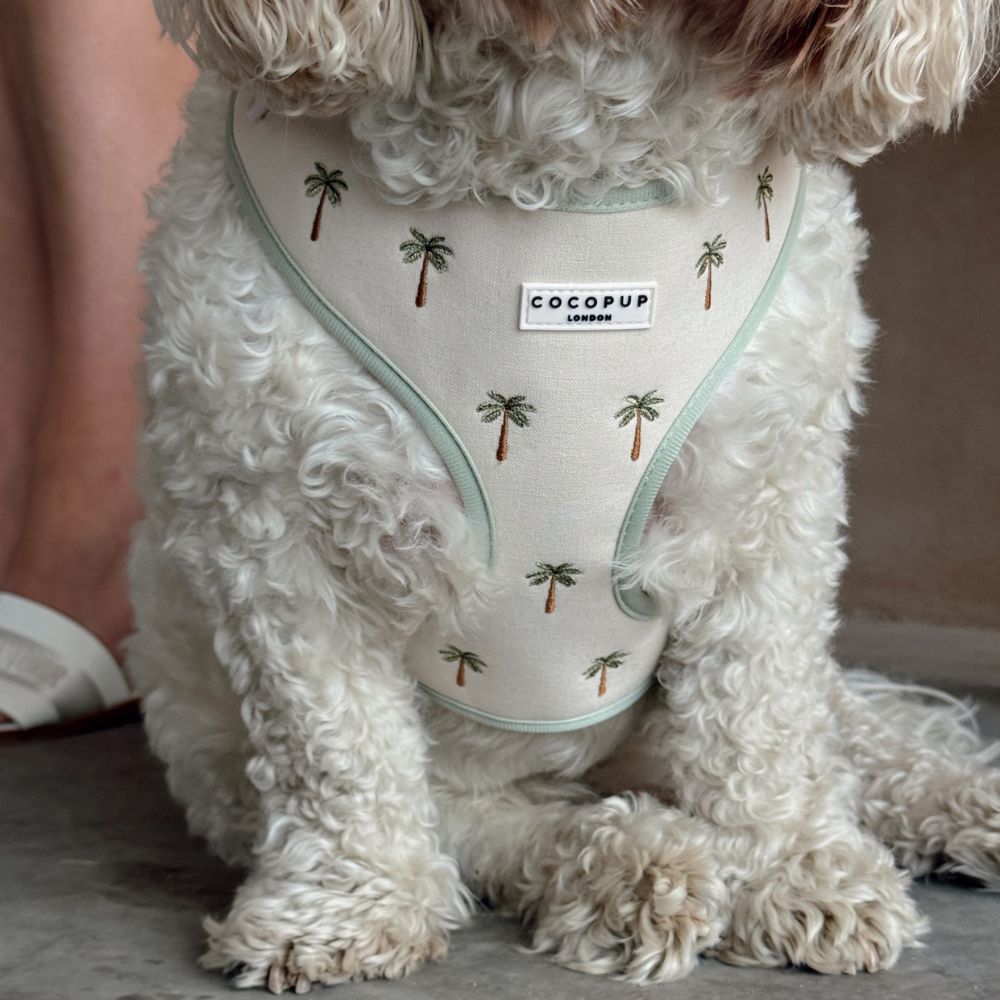A fluffy white dog sits wearing a light-colored harness with a palm tree print.