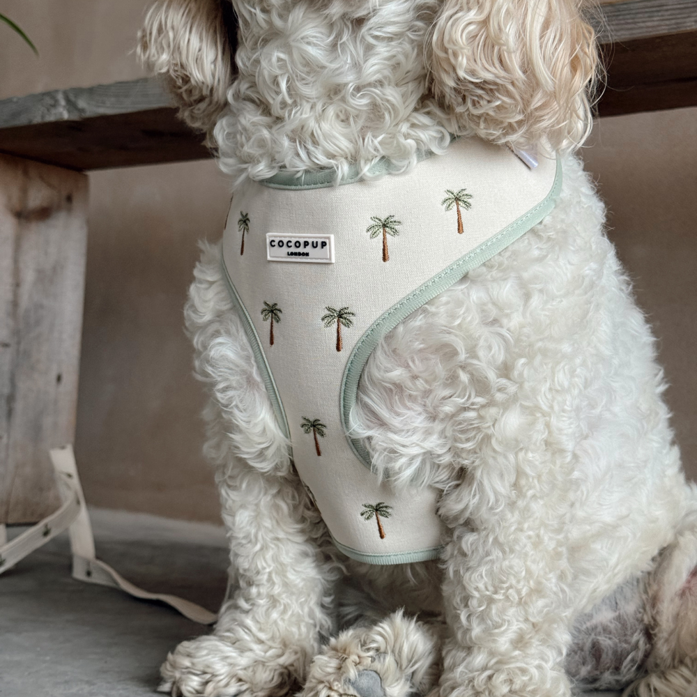 A fluffy white dog sits wearing a light-colored harness with an embroidered palm tree pattern.