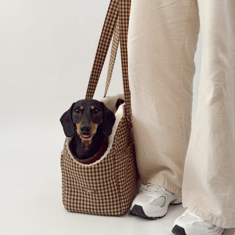A black and tan dachshund sits inside a brown checkered carrier bag next to a person's legs.
