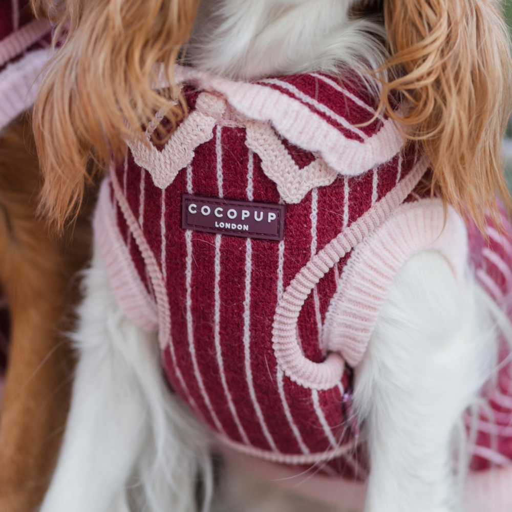 A close-up of a dog wearing a red and pink striped knit harness with a Cocopup London label.