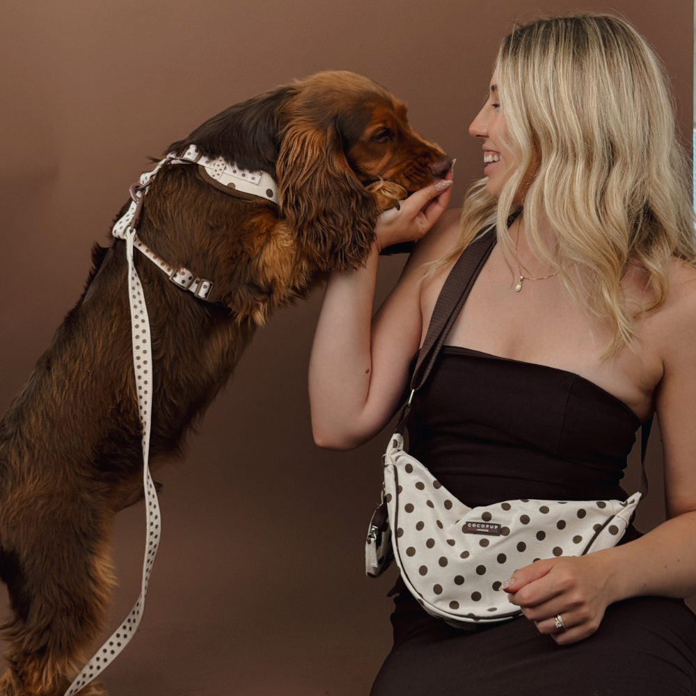 A smiling woman holds her brown cocker spaniel, both wearing matching white and brown polka-dot accessories.