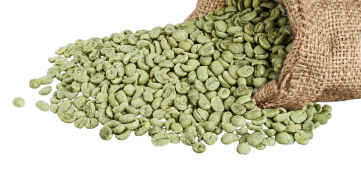 A burlap sack spilling green coffee beans.