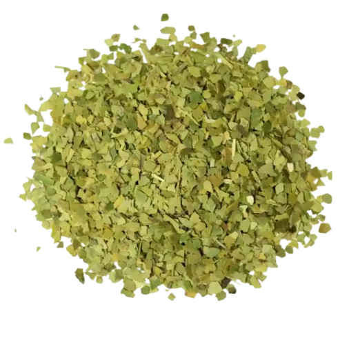 Pile of dried green leaves on a white background.