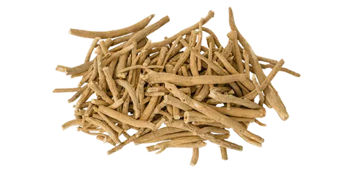 A pile of dried, thin, brown roots on a white background.