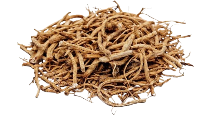 A pile of dried, twisted roots on a white background.