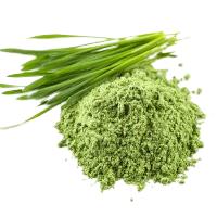 Green powder with fresh green blades of grass on top.