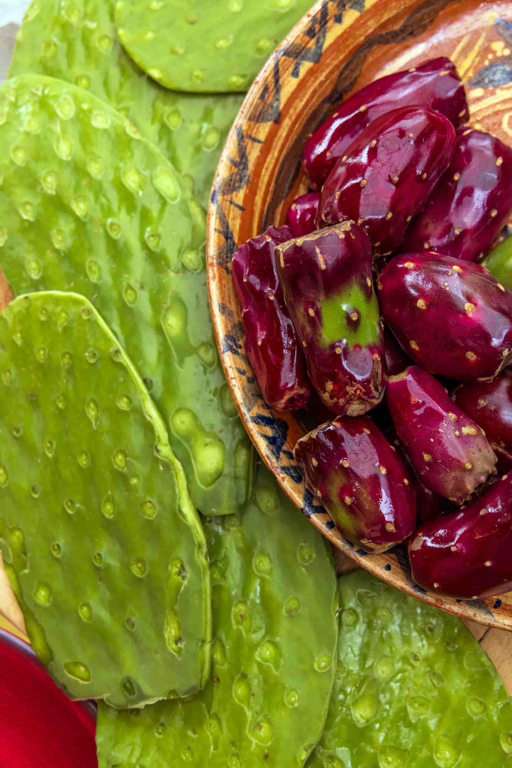 Close-up of vibrant green nopal cactus paddles and prickly pear fruit growing in Mexico.