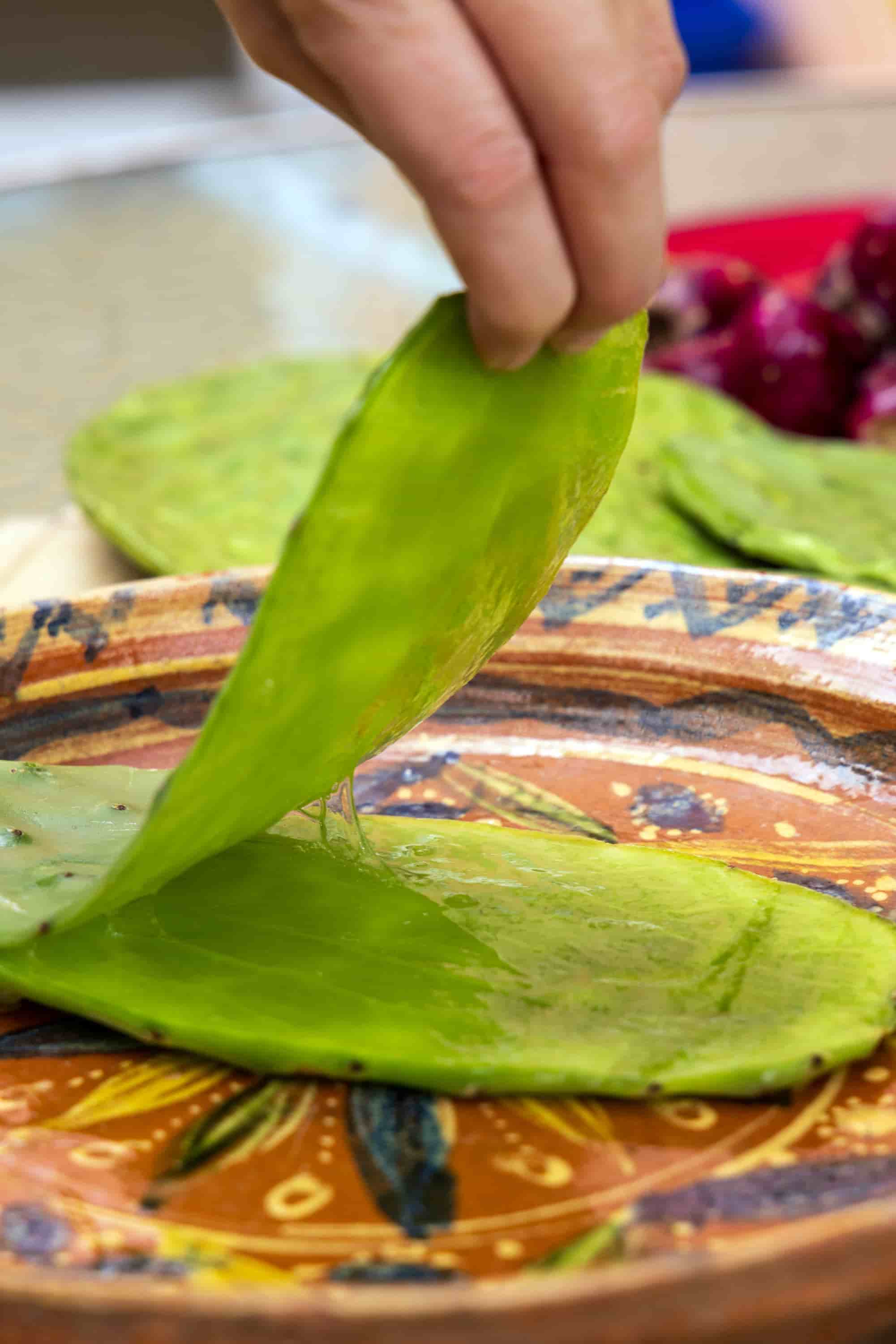 Fresh nopal cactus paddle being prepared by hand for a traditional Mexican recipe.
