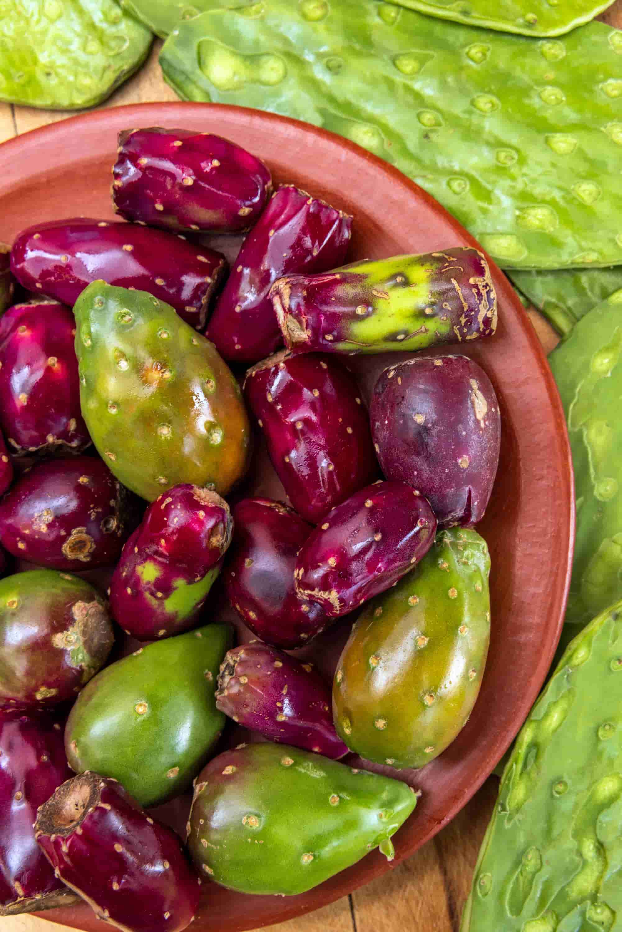Fresh prickly pear fruits (tunas) harvested from the nopal cactus, a symbol of Mexican culture and resilience.