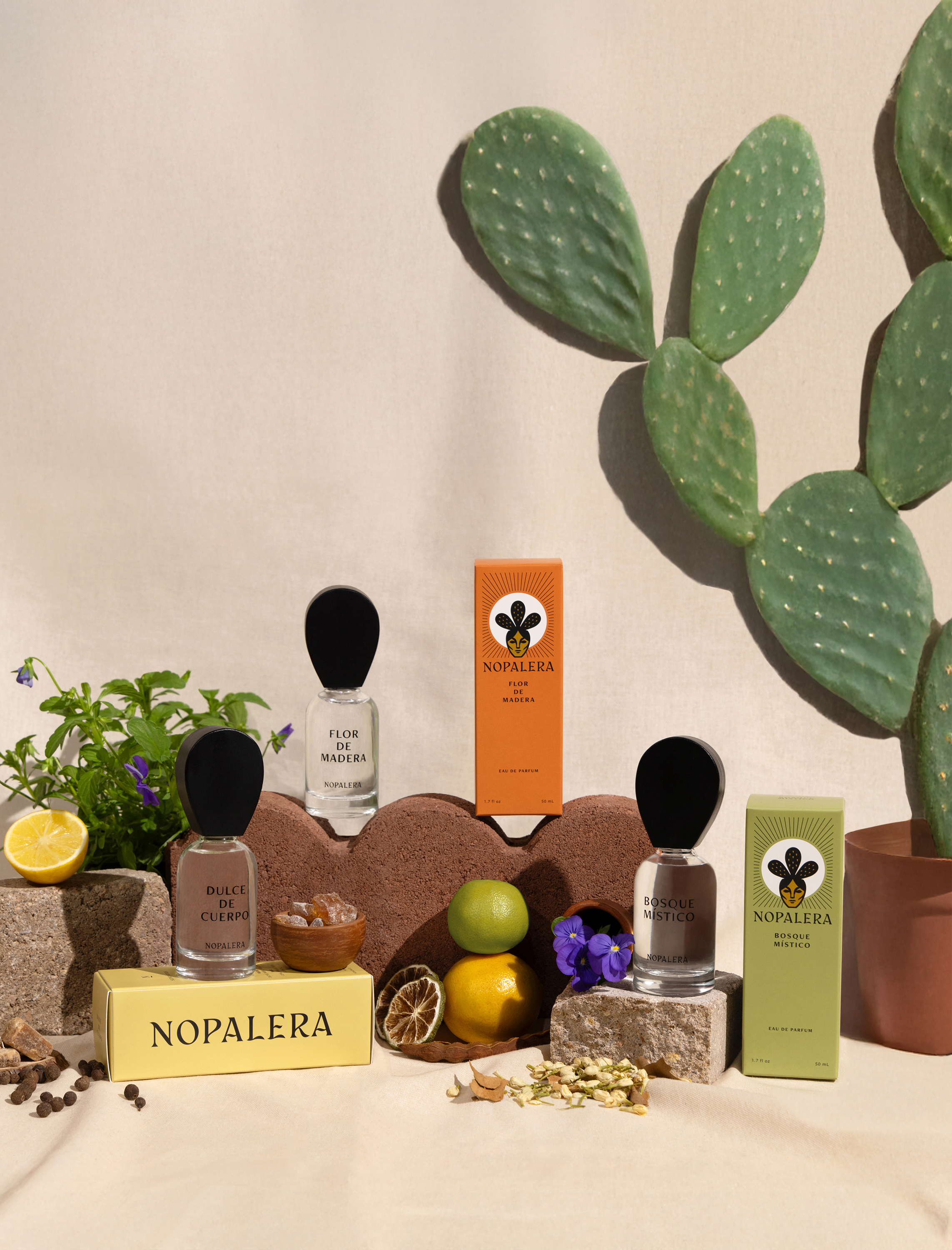 Nopalera fragrance collection with cactus and natural ingredients display