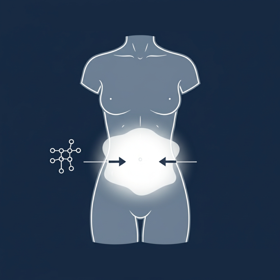 Illustration of a female torso with arrows pointing to the abdominal area.