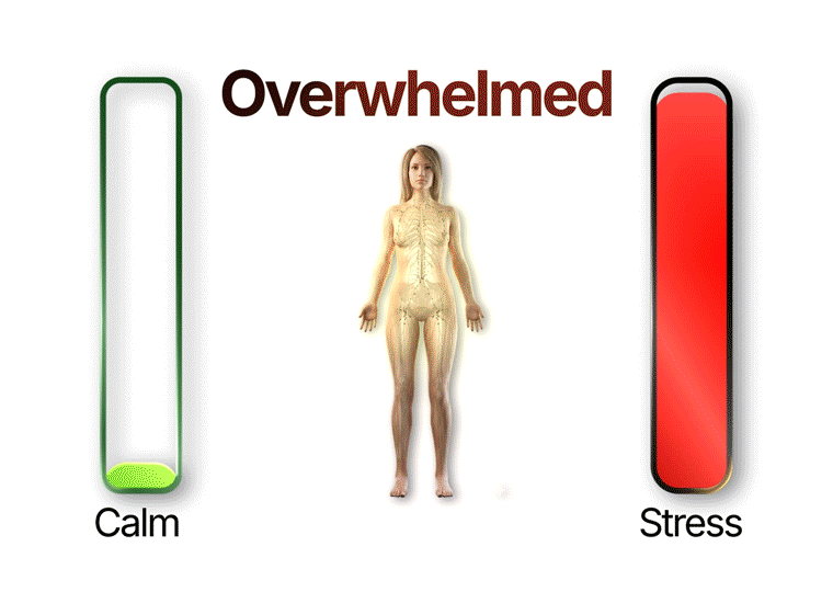 A diagram comparing the human nervous system to the root system of a plant.