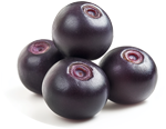 Four fresh jabuticaba berries on a white background.